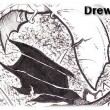 Drew1ss